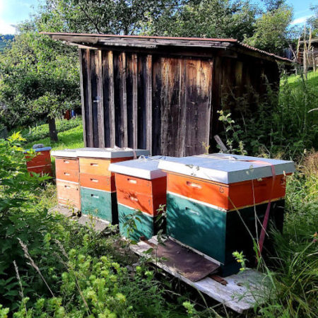 Bündner Bienenhonig – Bild 2