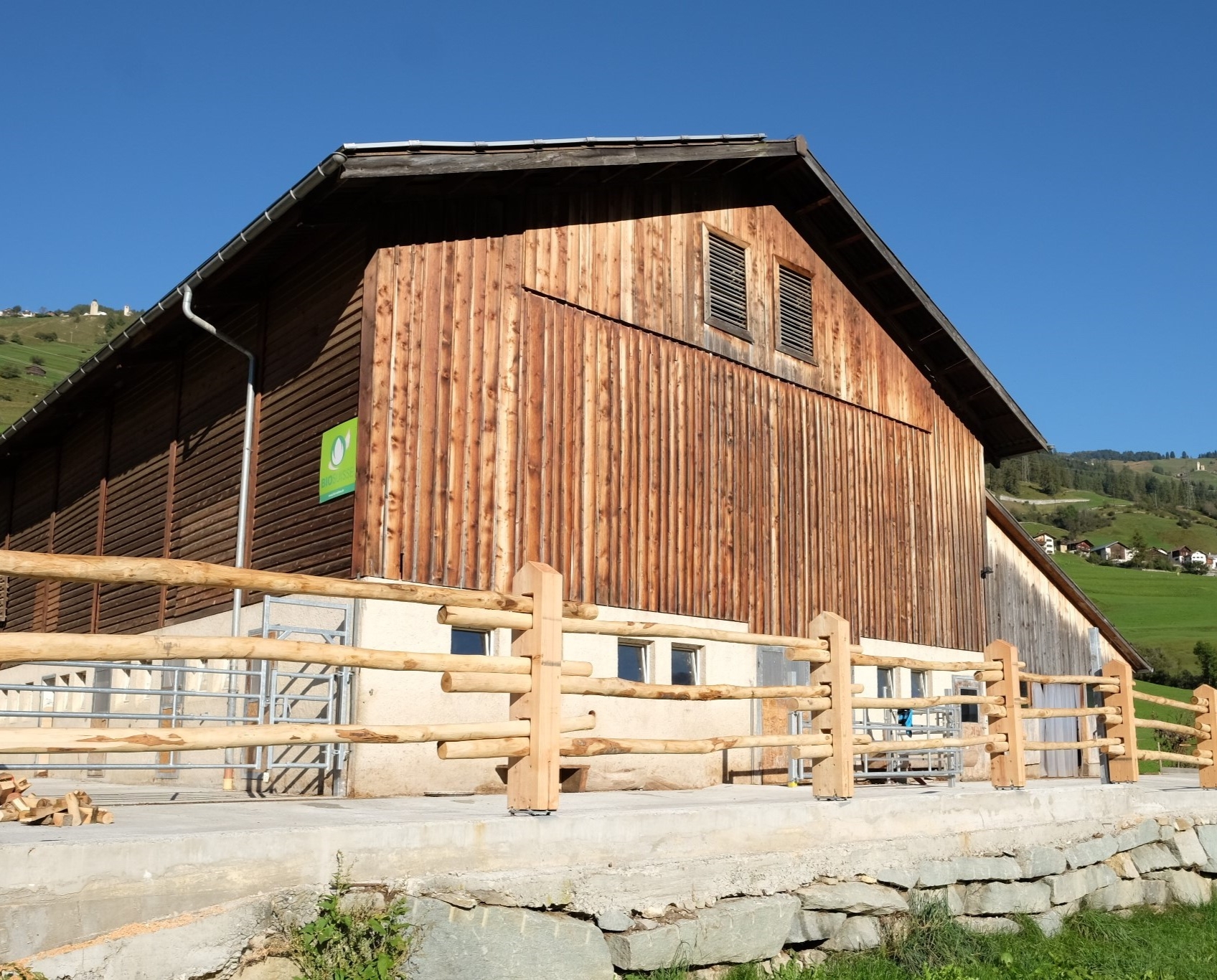biohofnicca